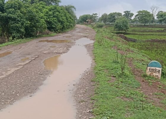 राजनांदगांव। विधानसभा के अंतर्गत आने वाले ग्राम सिंघोला से भोथीपार खुर्द पहुंच मार्ग पर बड़े-बड़े जानलेवा गड्ढे हो गए है जिसमे जानलेवा गड्ढे के बीच राहगीरों का चलना हुआ मुश्किल। राजनांदगांव विधानसभा के विधायक डॉ. रमन सिंह के नेतृत्व में राजनांदगांव विधानसभा में विकास की परचम चारों तरफ लहरा रही है विकास के कार्य बिना मांगे ही राजनांदगांव विधानसभा को मिलती ही आ रही है। पर इस और कोई ध्यान नहीं दिया जा रहा है। जिससे क्षेत्र वासियो में भारी आक्रोश पनप रही है। सड़क पर बड़े-बड़े गड्ढे हो जाने से स्कूली छात्र-छात्राओं खेती किसानी काम करने वाले मजदूर एवं कृषि कार्य से संबंधित कार्य के लिए हजारों लोग इस मार्ग से ही आवाजाही करते हैं। इस सड़क के विषय में ग्राम पंचायत सिंघोला के सरपंच मुकेश कुमार साहू ने शासन से मांग किया है इस सड़क का नया निर्माण जल्द से जल्द करने की जरूरत है।