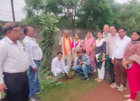 कृषि स्थाई समिति सभापति पूर्णिमाकृष्णा साहू ने पौधारोपण किया*