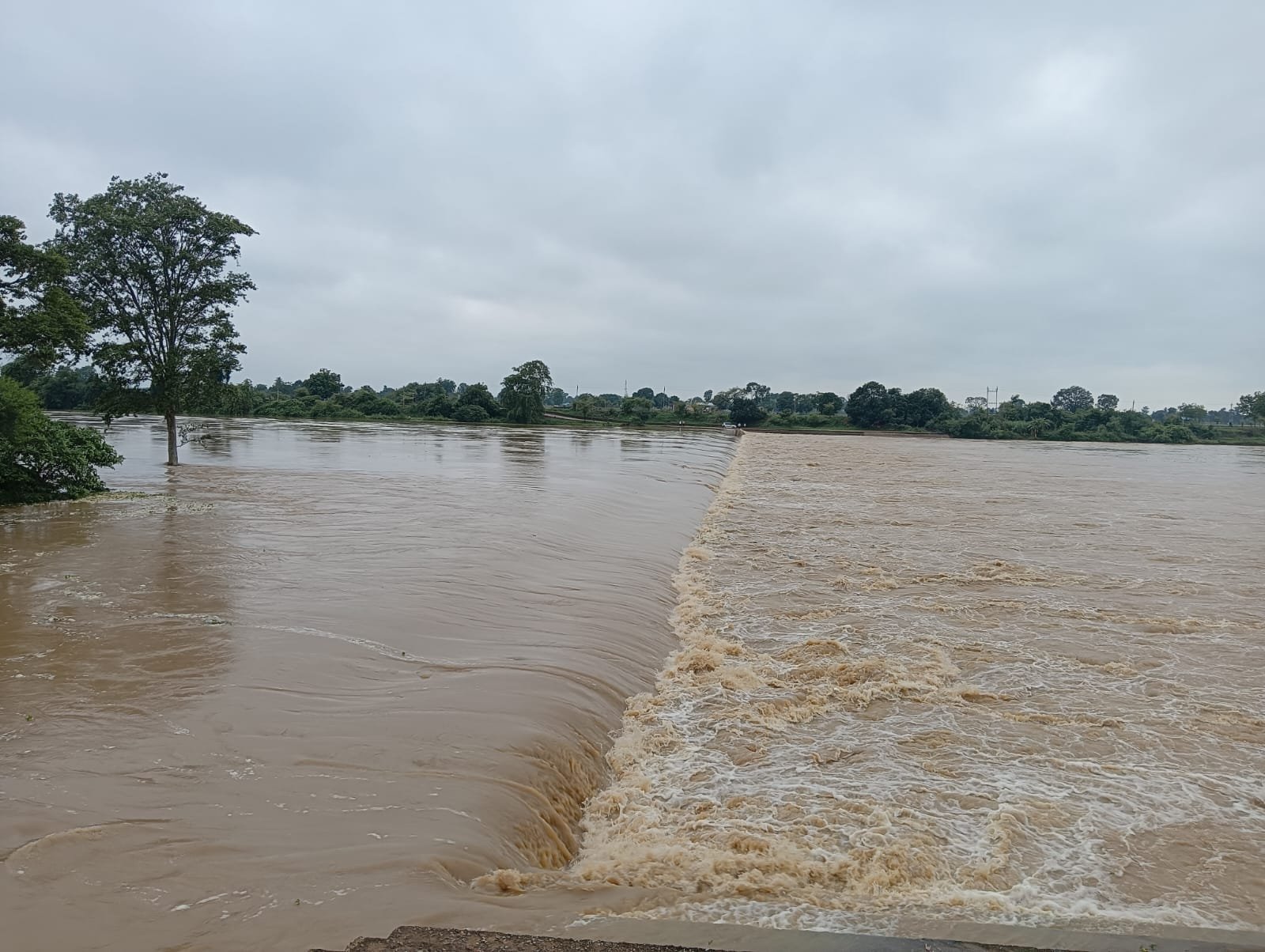 शिवनाथ नदी मोखला जंगलेशर मार्ग बंद एनिकट डूबा